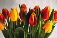 Blumen sind das beliebteste Geschenk zum Muttertag - Foto: Gerd Altmann - pixelio